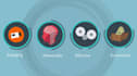 create an interactive 2d animated explainer video