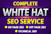 do complete SEO of your website