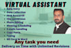 data entry, VA for you and provide quality of work