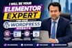 be your elementor expert for your wordpress website