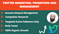 do twitter marketing as a manager to get organic growth