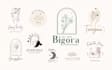 do feminine minimalist hand drawn botanical boho logo design