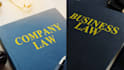 write researched essays on company law and business law