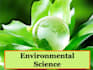 write papers and articles on environmental science and environmental pollution
