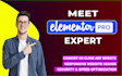 develop and design wordpress website with elementor pro