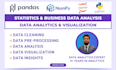 do statistical data analysis and financial analysis by r, python, power bi