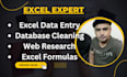 organize, clean up excel email contact list, data entry collection, web research