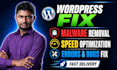 fix wordpress bugs malware and performance issues