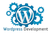 build responsive wordpress website design