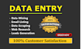 do data entry, copy paste, web research and excel data entry