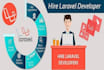 fix , add features and develop laravel website