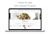 create awesome UI UX design for website using flutter