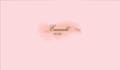 desighn stylish watercolour feminine logo