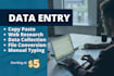 do accurate data entry, copy paste, web research, excel data entry in 24 hours