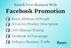 do facebook promotion, create and manage fb business page