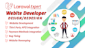 fix, redesign, clone, develop a professional ecommerce website using php laravel