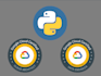 train you in google cloud architect, data engineer, and python