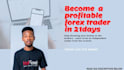 teach you a system to be profitable in forex or day trading