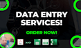 provide fast and perfect data entry data mining, and copy and paste web research