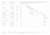 create a professional gantt chart on project and excel