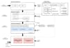 write software requirement specification,design uml diagrams