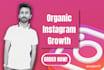do organic instagram growth
