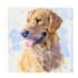 do dog portrait illustration