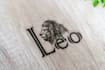 do awesome logo animation