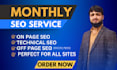 provide monthly SEO service with quality backlinks