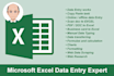 do excel data entry