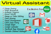 professional virtual assistant and internet researcher