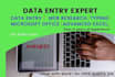 be your expert data entry