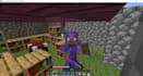 play minecraft with you on any server