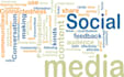give you successful SEO Action plan with only