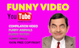 make funny pets, cars, funny fails videos for your youtube channel