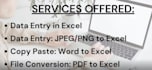 do excel data entry and formatting, copy paste
