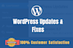 safely do wordpress updates and fixes