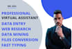 be your virtual assistant for data entry, web research