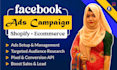 set up facebook ads campaign to boost sales and leads