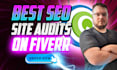do a SEO website audit and be your consultant