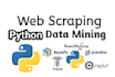 do python web scraping data mining or python coding
