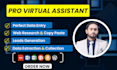 be a virtual assistant VA for data entry, market research, and  data scraping