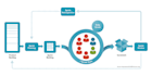 conduct a scrum maturity assessment of your development squad