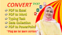 convert pdf to excel, pdf to word, data collection, and typing job