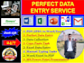 do perfect data entry,  copy typing, excel entry, and lead generation