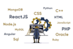 do full stack web development from scratch