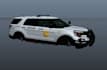 create you a custom fivem vehicle texture