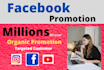 do organic facebook marketing, promotion, advertising in USA