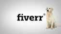 make funny dog licking video with your logo