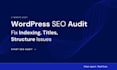 audit and optimize your wordpress website SEO and performance